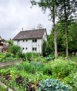Hausansicht vor Anbau in Wildtal 